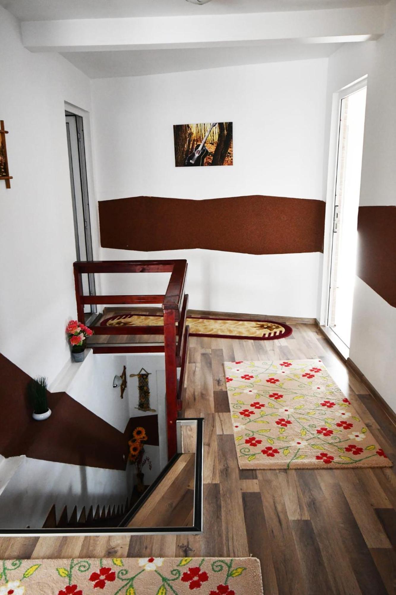 Casa Stefanut Hotel Моечу де Жос Екстериор снимка